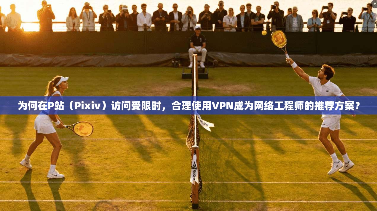 为何在P站（Pixiv）访问受限时，合理使用VPN成为网络工程师的推荐方案？  第1张