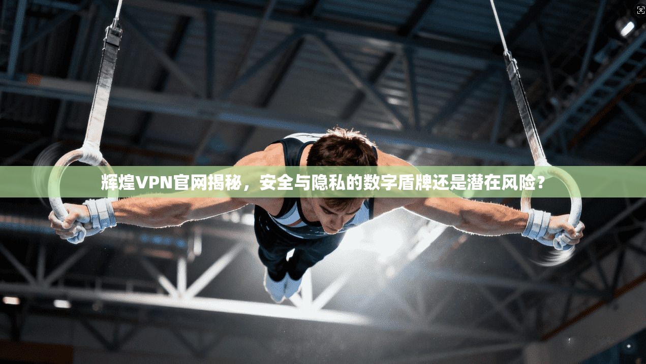 辉煌VPN官网揭秘，安全与隐私的数字盾牌还是潜在风险？  第1张