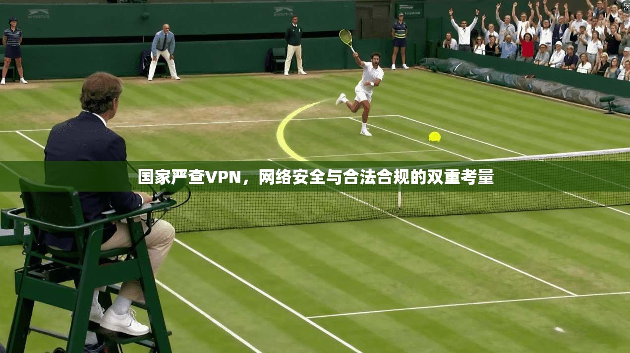 国家严查VPN，网络安全与合法合规的双重考量  第1张