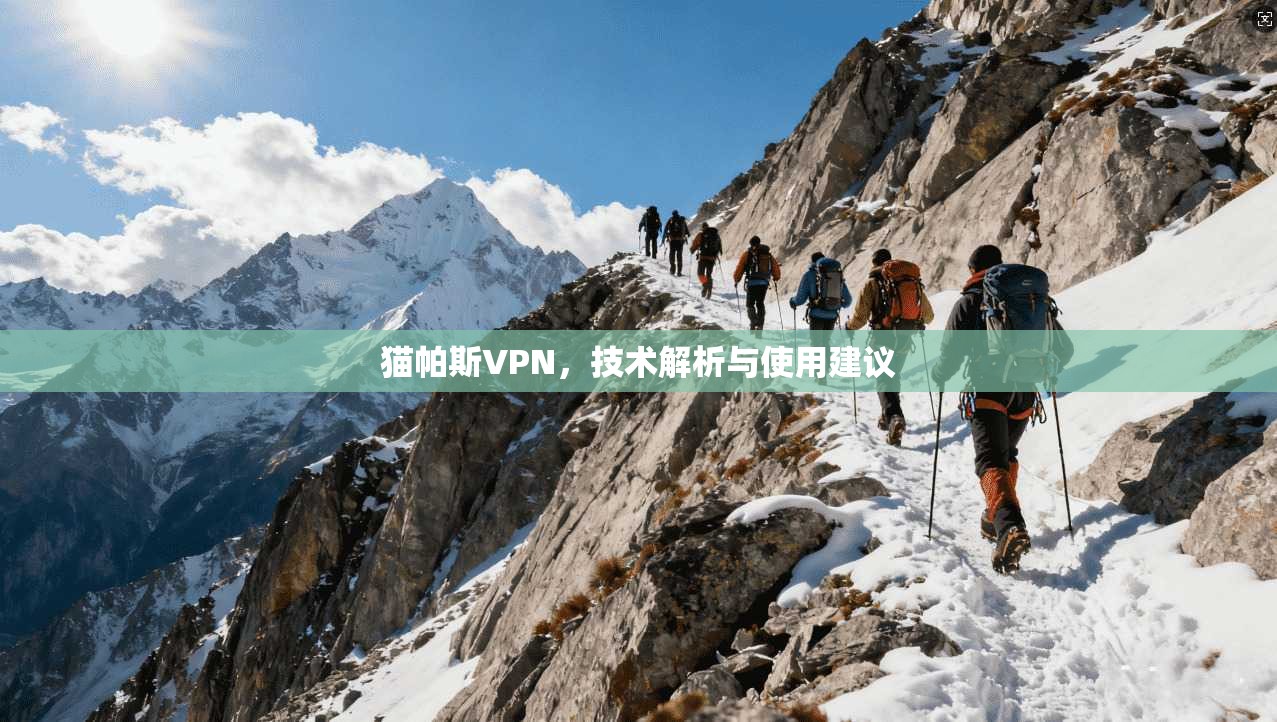 猫帕斯VPN，技术解析与使用建议  第1张
