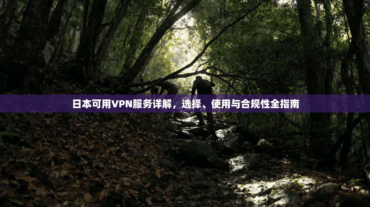 日本可用VPN服务详解，选择、使用与合规性全指南  第1张