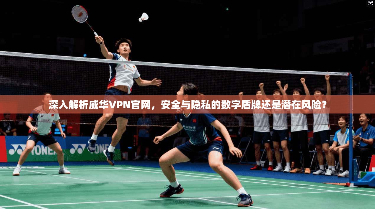 深入解析威华VPN官网，安全与隐私的数字盾牌还是潜在风险？  第1张