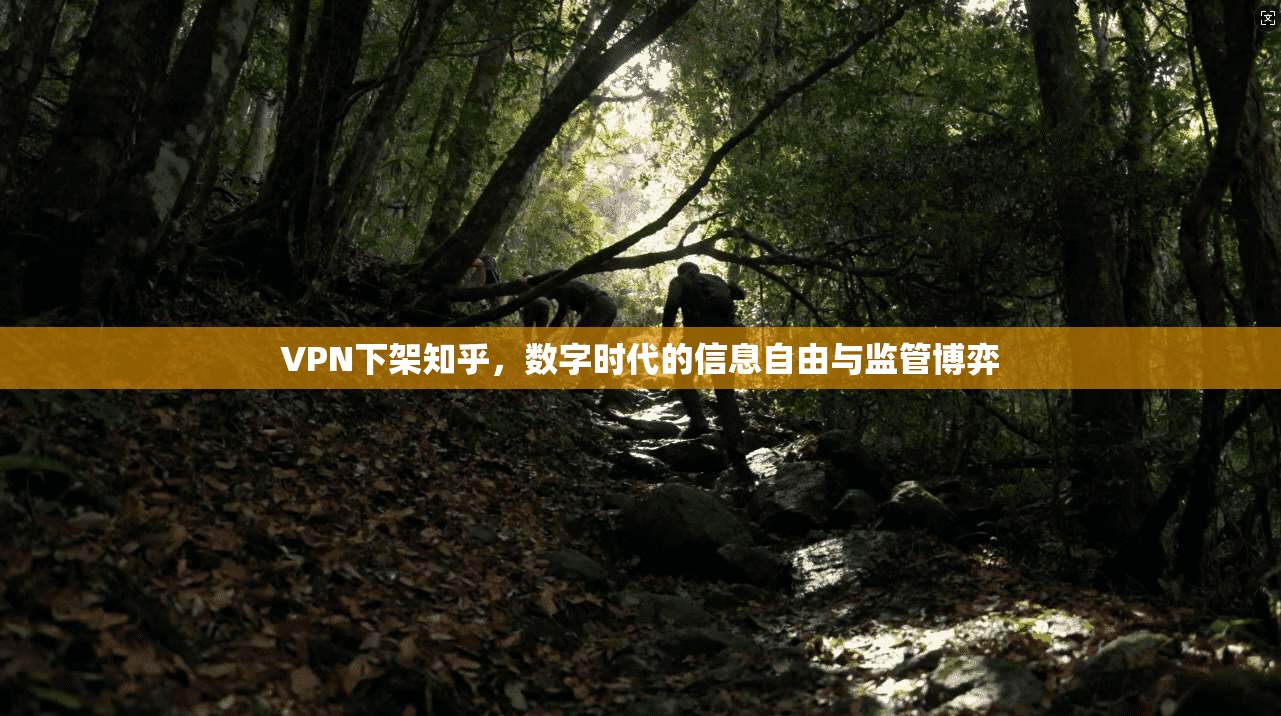 VPN下架知乎，数字时代的信息自由与监管博弈  第1张