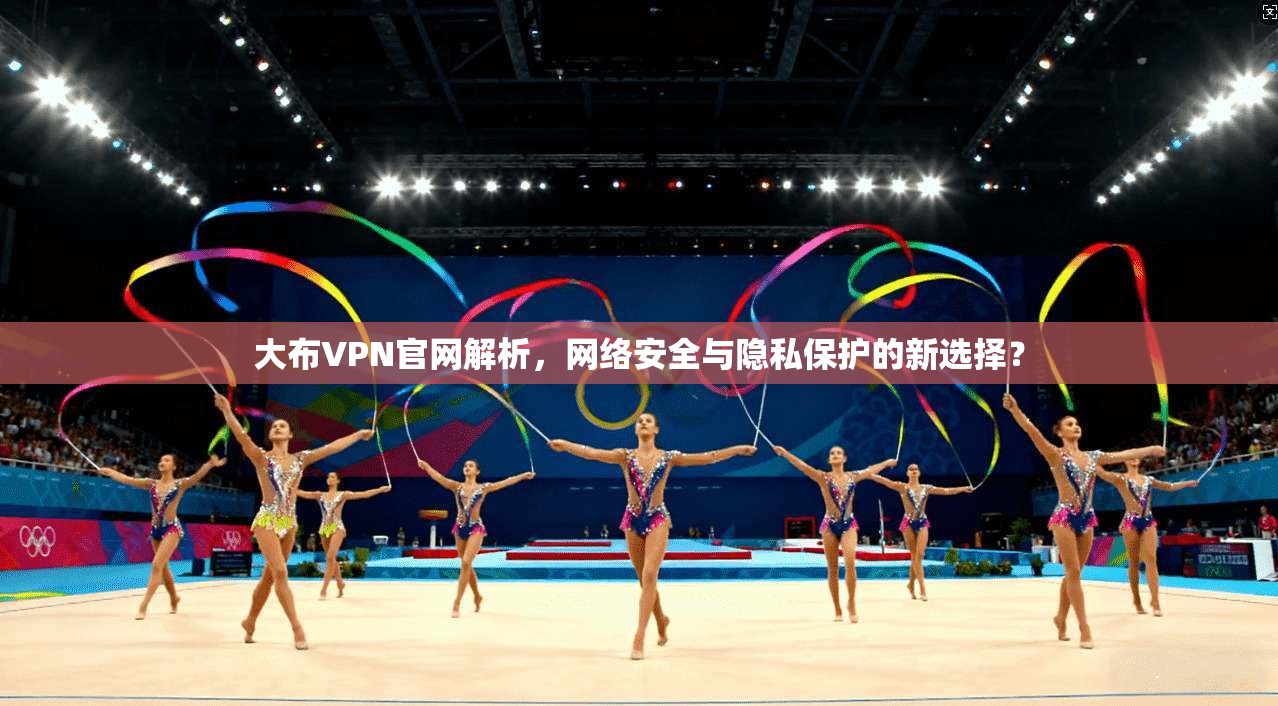 大布VPN官网解析，网络安全与隐私保护的新选择？  第1张