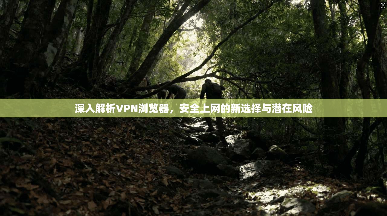 深入解析VPN浏览器，安全上网的新选择与潜在风险  第1张