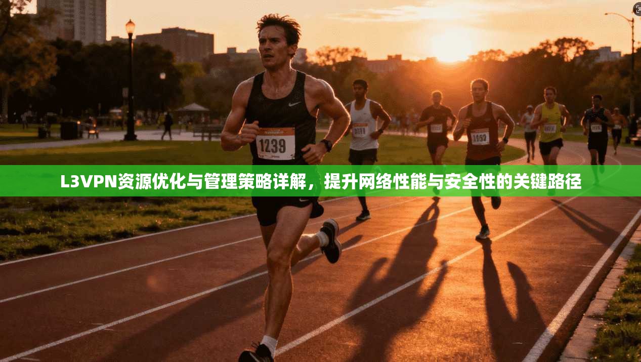 L3VPN资源优化与管理策略详解，提升网络性能与安全性的关键路径  第1张