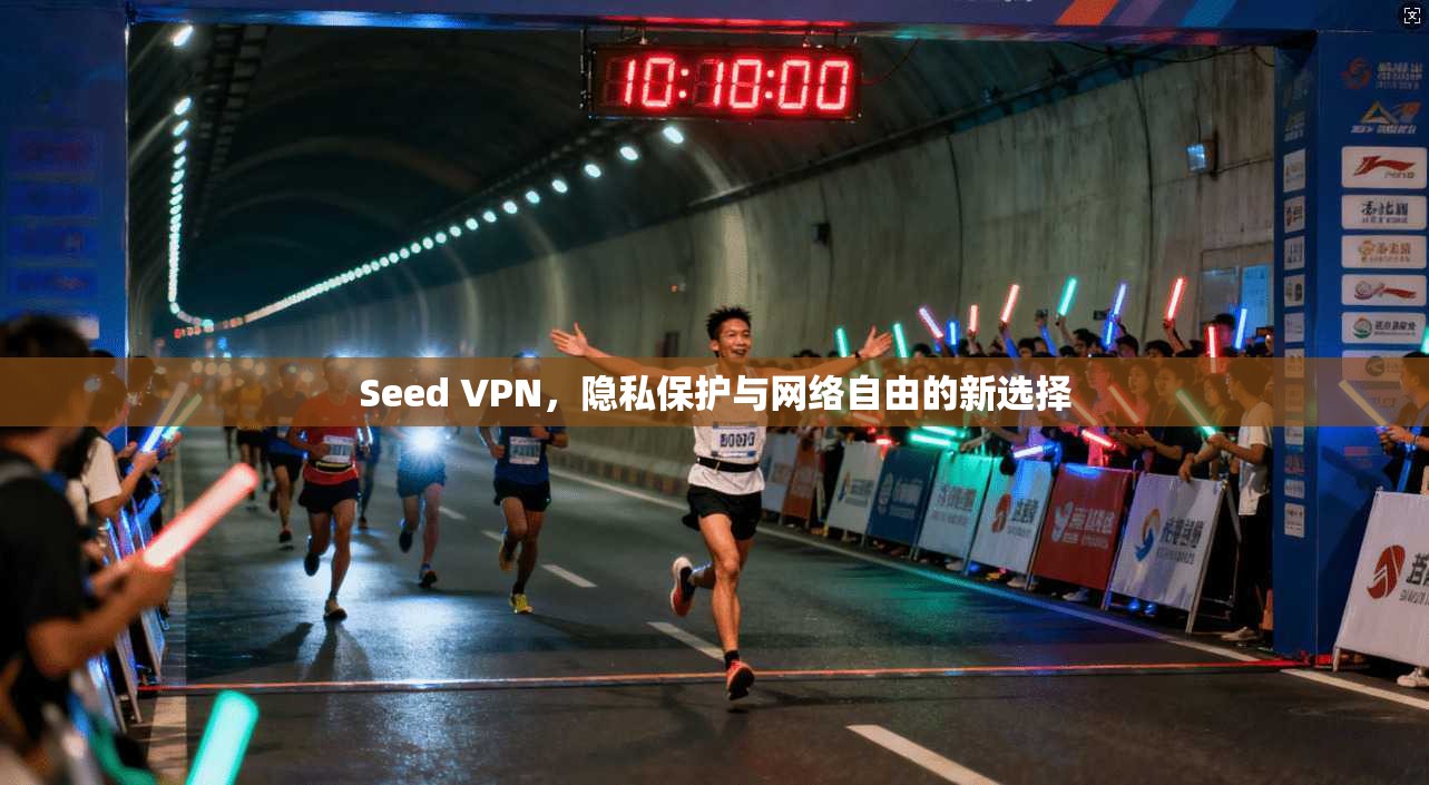 Seed VPN，隐私保护与网络自由的新选择  第1张