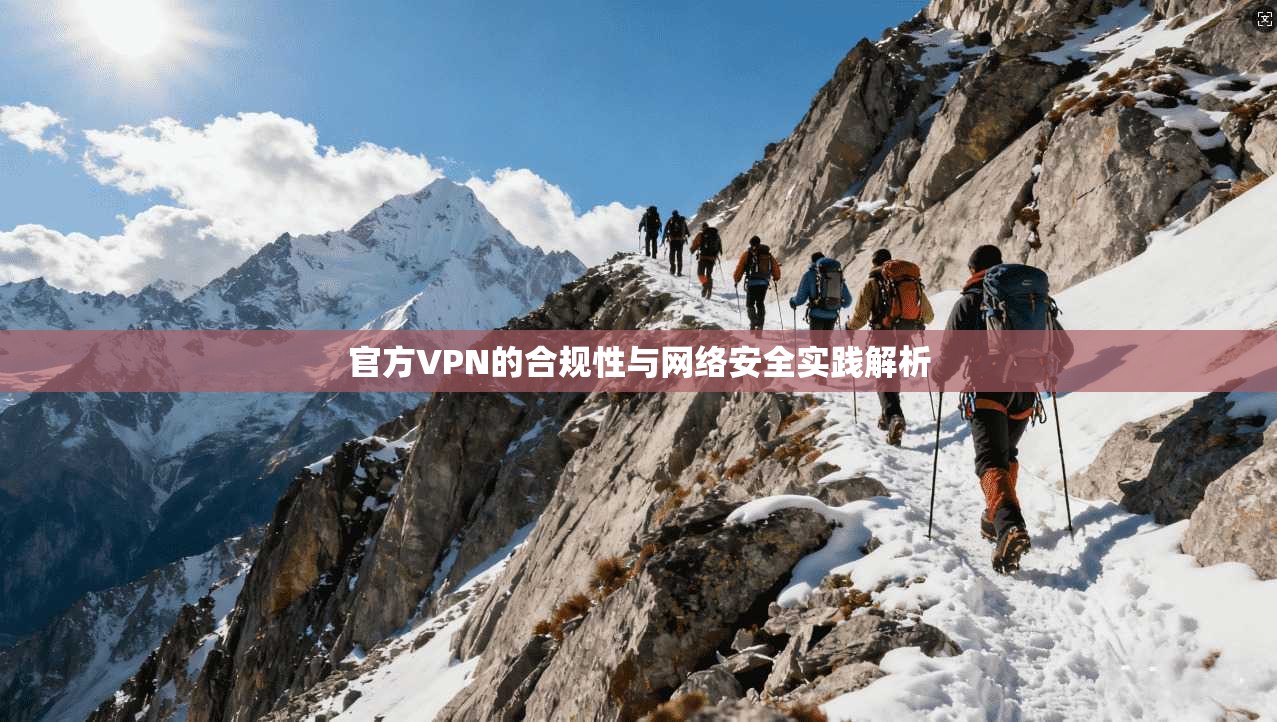 官方VPN的合规性与网络安全实践解析