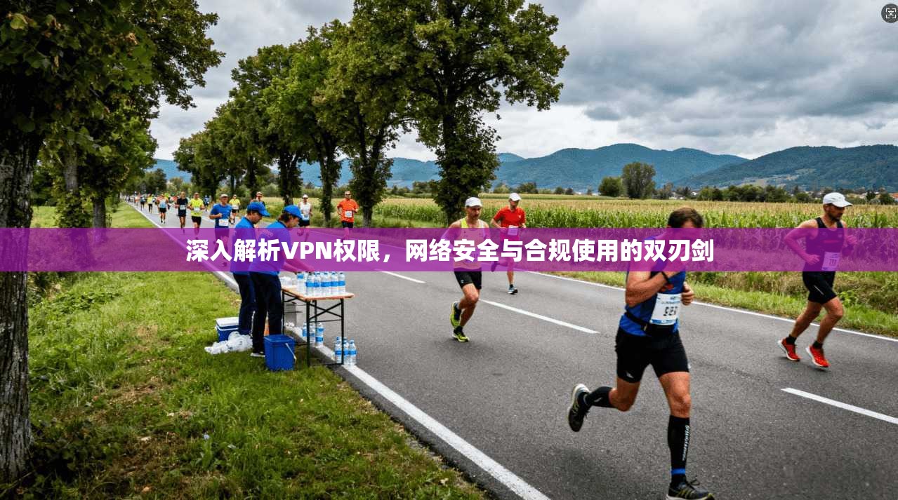 深入解析VPN权限，网络安全与合规使用的双刃剑