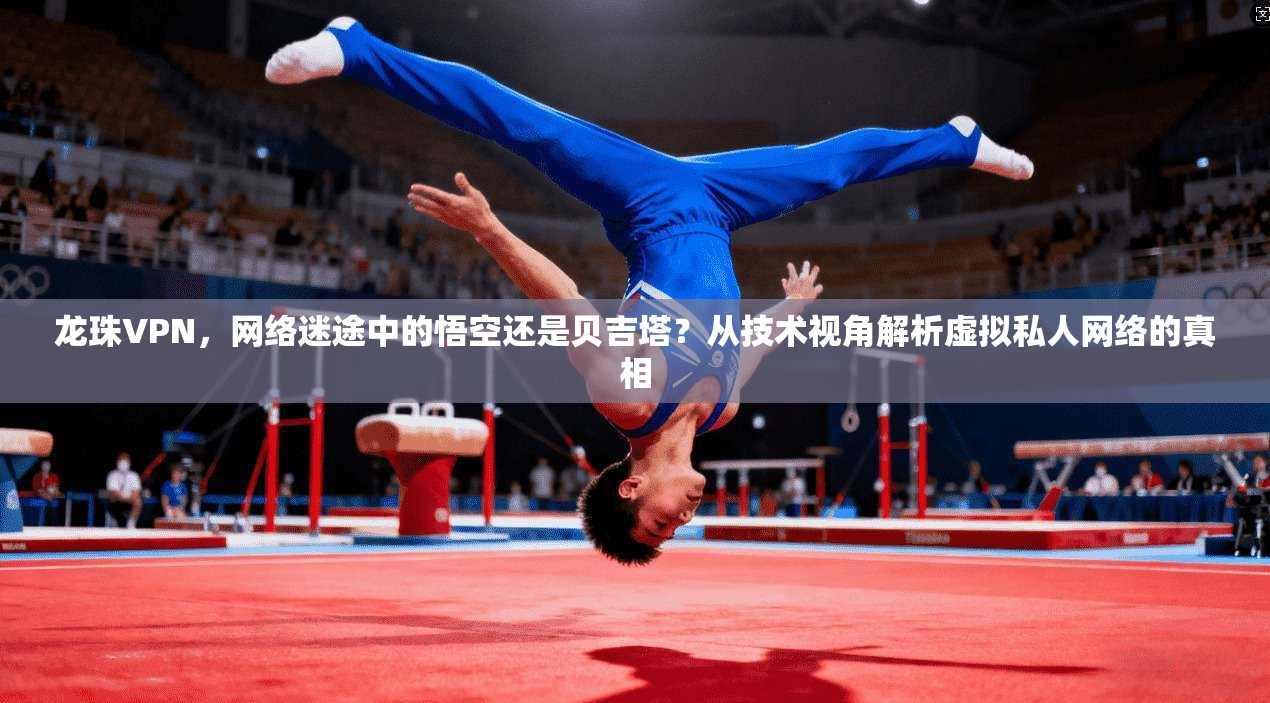 龙珠VPN，网络迷途中的悟空还是贝吉塔？从技术视角解析虚拟私人网络的真相