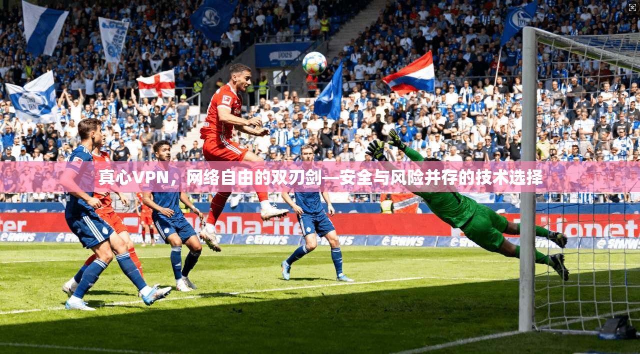 真心VPN，网络自由的双刃剑—安全与风险并存的技术选择