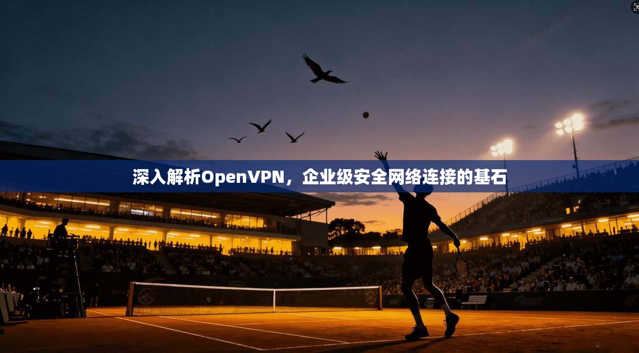 深入解析OpenVPN，企业级安全网络连接的基石