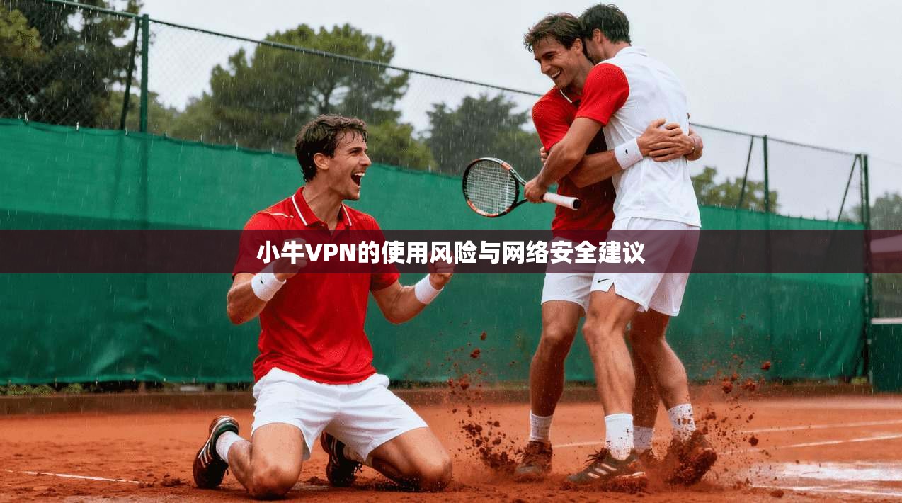 小牛VPN的使用风险与网络安全建议
