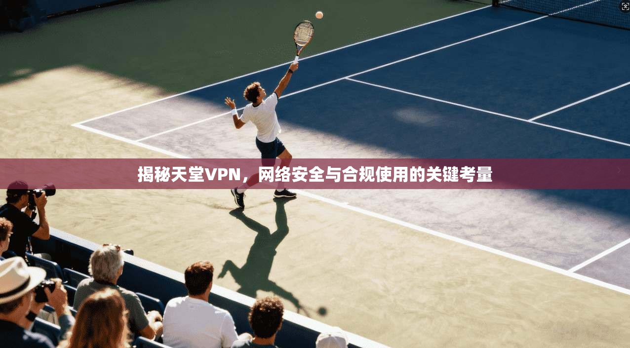揭秘天堂VPN，网络安全与合规使用的关键考量