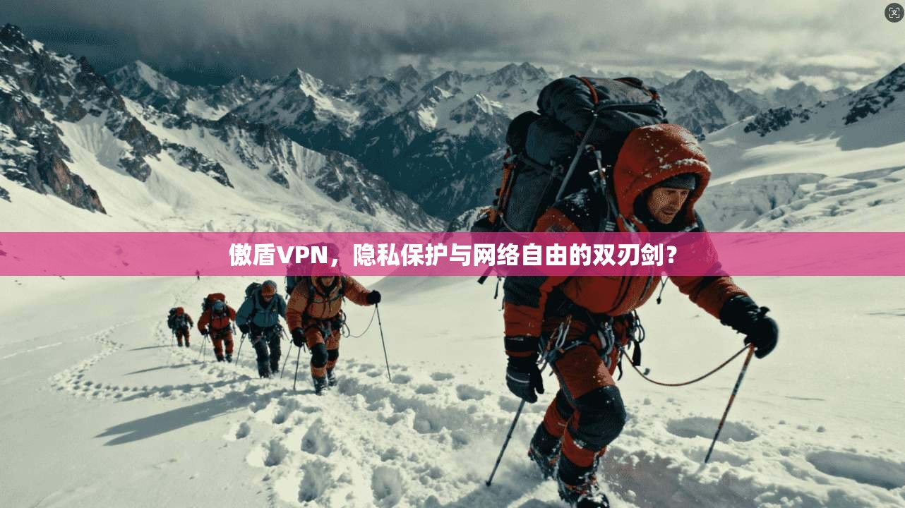 傲盾VPN，隐私保护与网络自由的双刃剑？