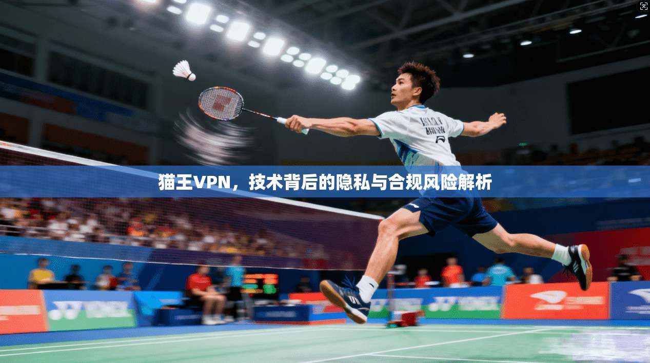 猫王VPN，技术背后的隐私与合规风险解析