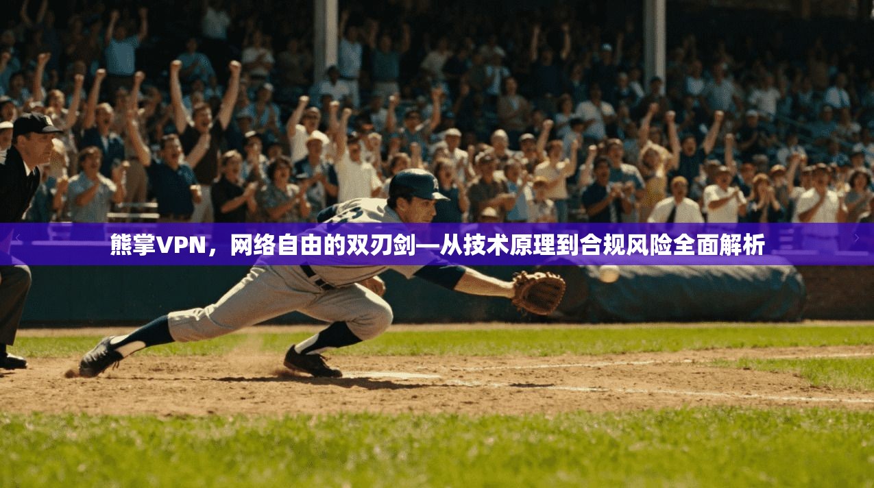 熊掌VPN，网络自由的双刃剑—从技术原理到合规风险全面解析