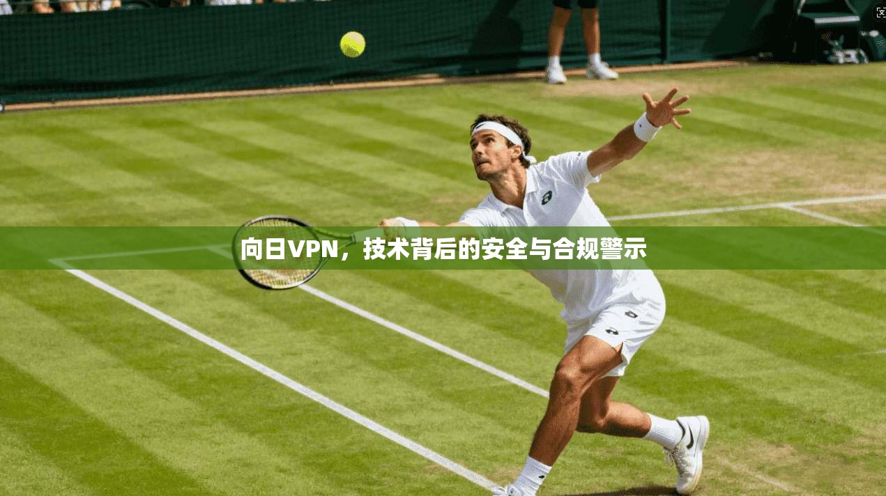 向日VPN，技术背后的安全与合规警示