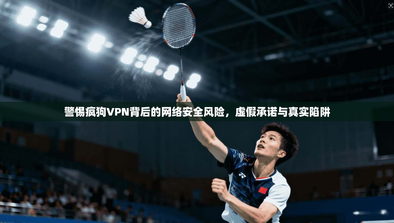 警惕疯狗VPN背后的网络安全风险，虚假承诺与真实陷阱