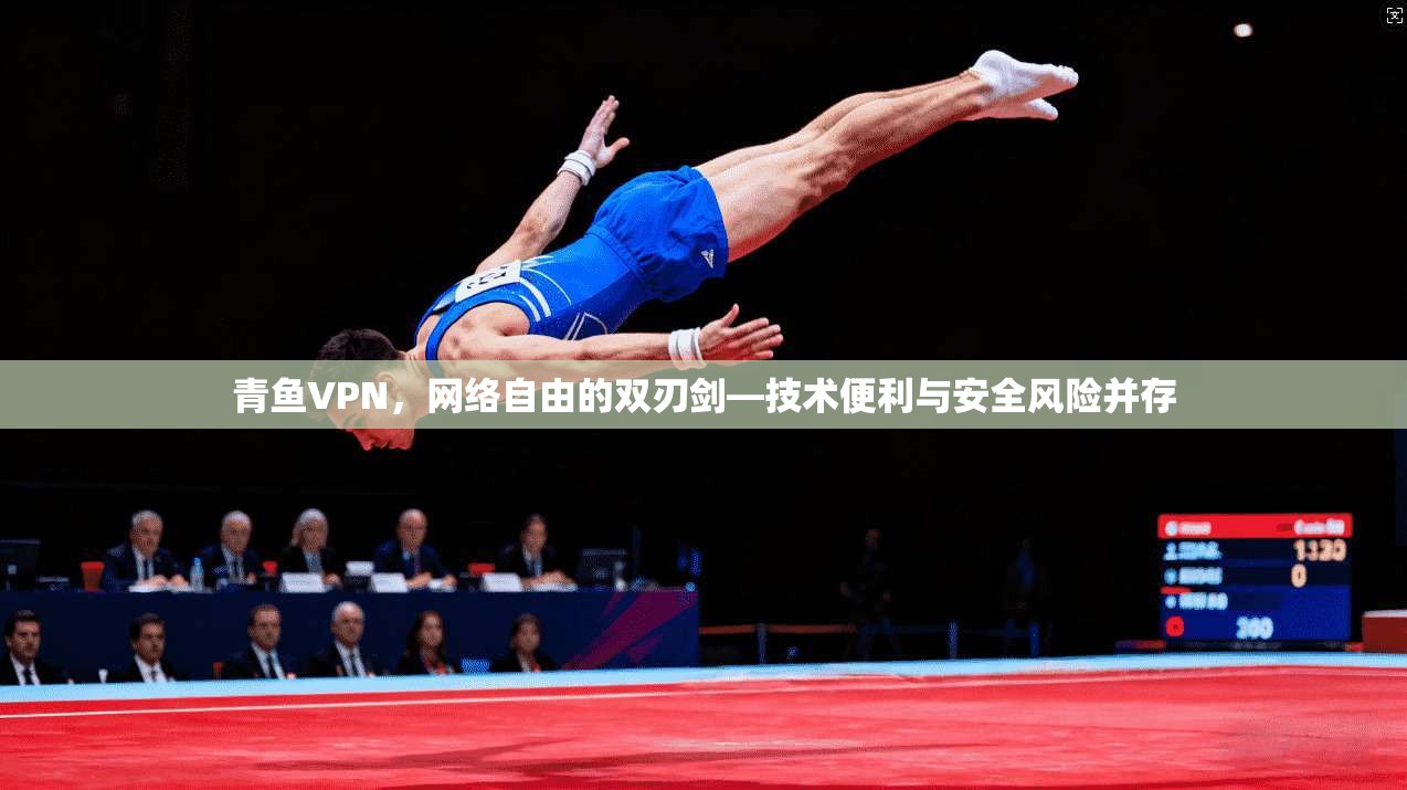 青鱼VPN，网络自由的双刃剑—技术便利与安全风险并存