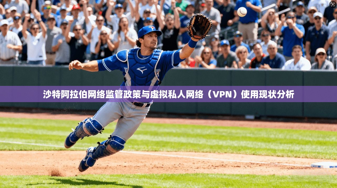 沙特阿拉伯网络监管政策与虚拟私人网络（VPN）使用现状分析