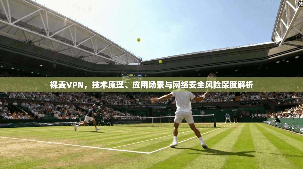 裸麦VPN，技术原理、应用场景与网络安全风险深度解析