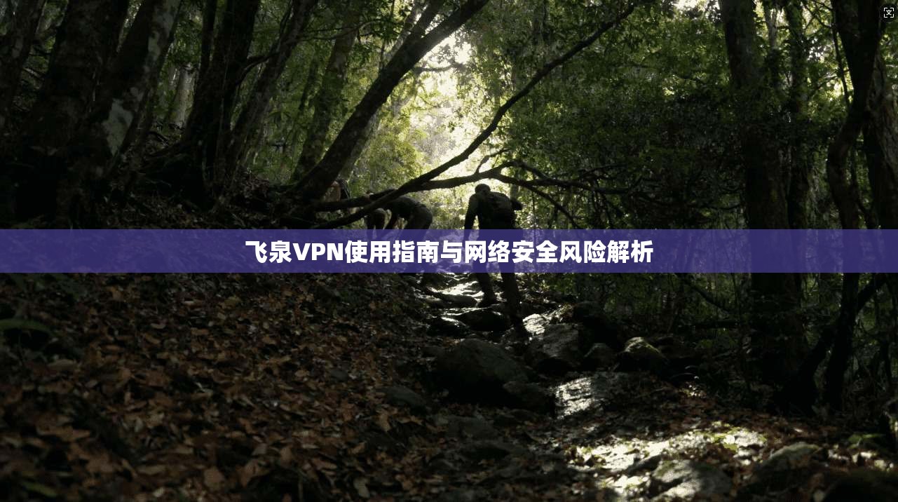 飞泉VPN使用指南与网络安全风险解析