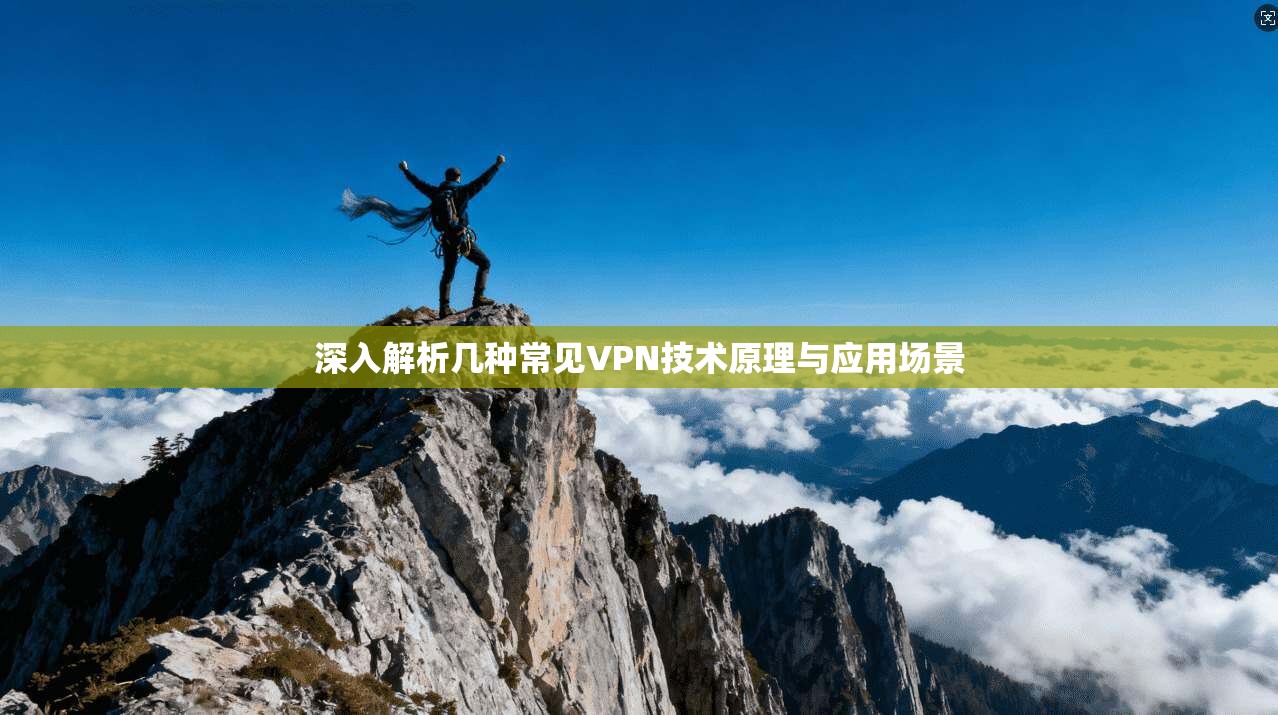 深入解析几种常见VPN技术原理与应用场景