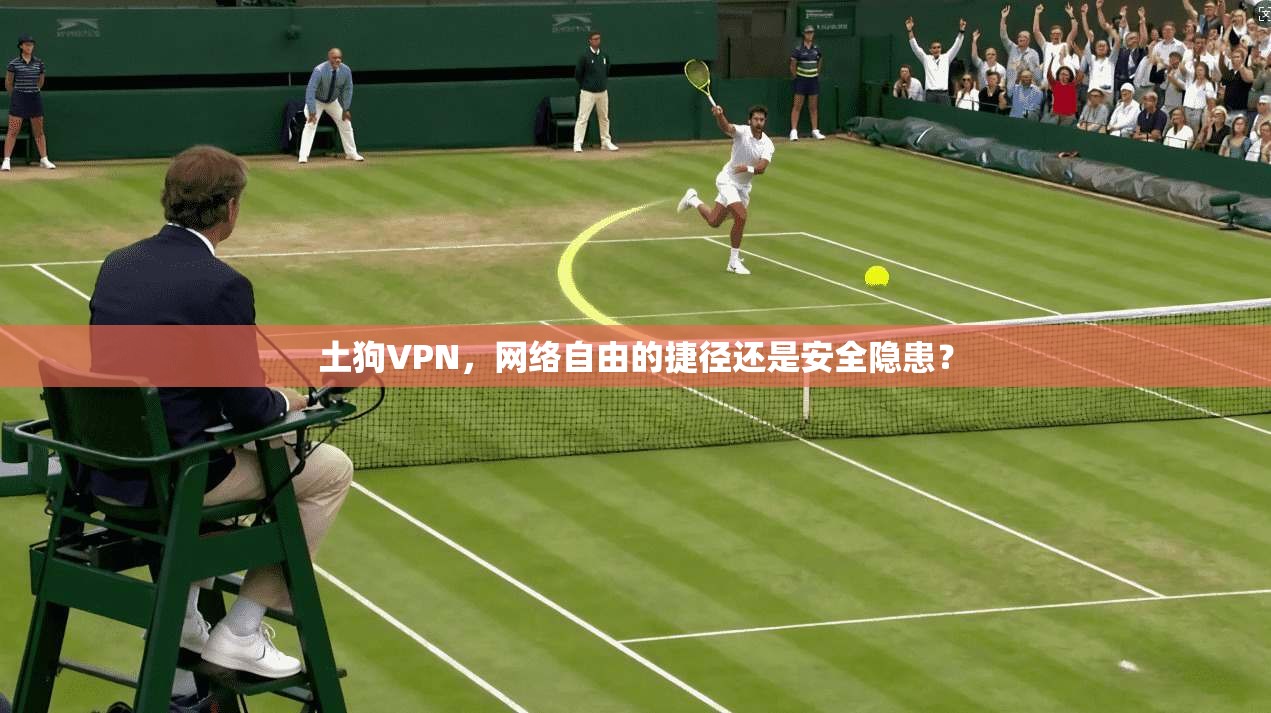 土狗VPN，网络自由的捷径还是安全隐患？
