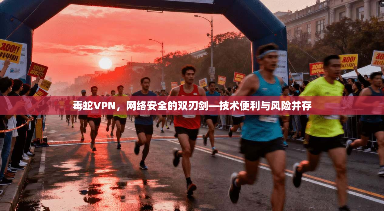 毒蛇VPN，网络安全的双刃剑—技术便利与风险并存