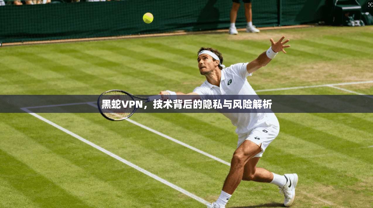 黑蛇VPN，技术背后的隐私与风险解析