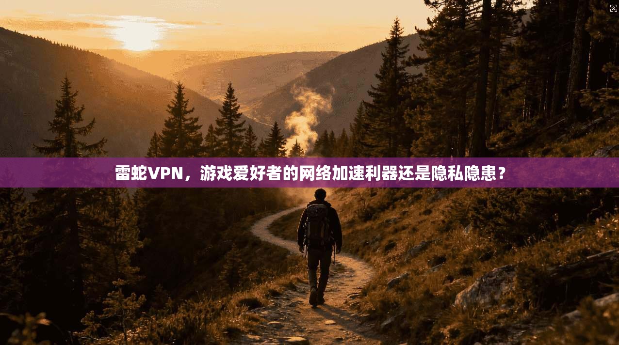 雷蛇VPN，游戏爱好者的网络加速利器还是隐私隐患？