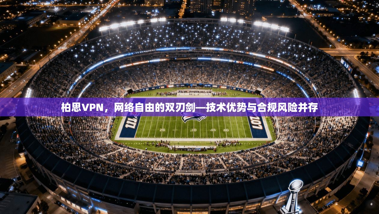 柏思VPN，网络自由的双刃剑—技术优势与合规风险并存