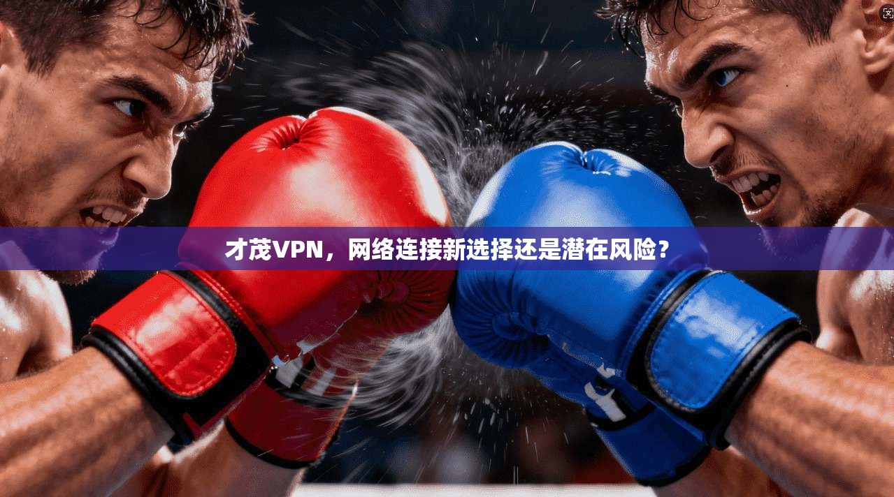 才茂VPN，网络连接新选择还是潜在风险？