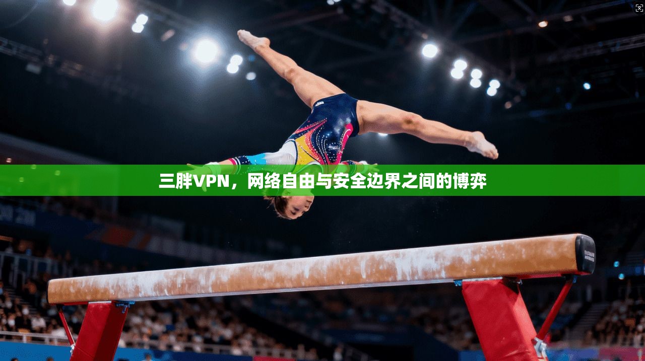 三胖VPN，网络自由与安全边界之间的博弈
