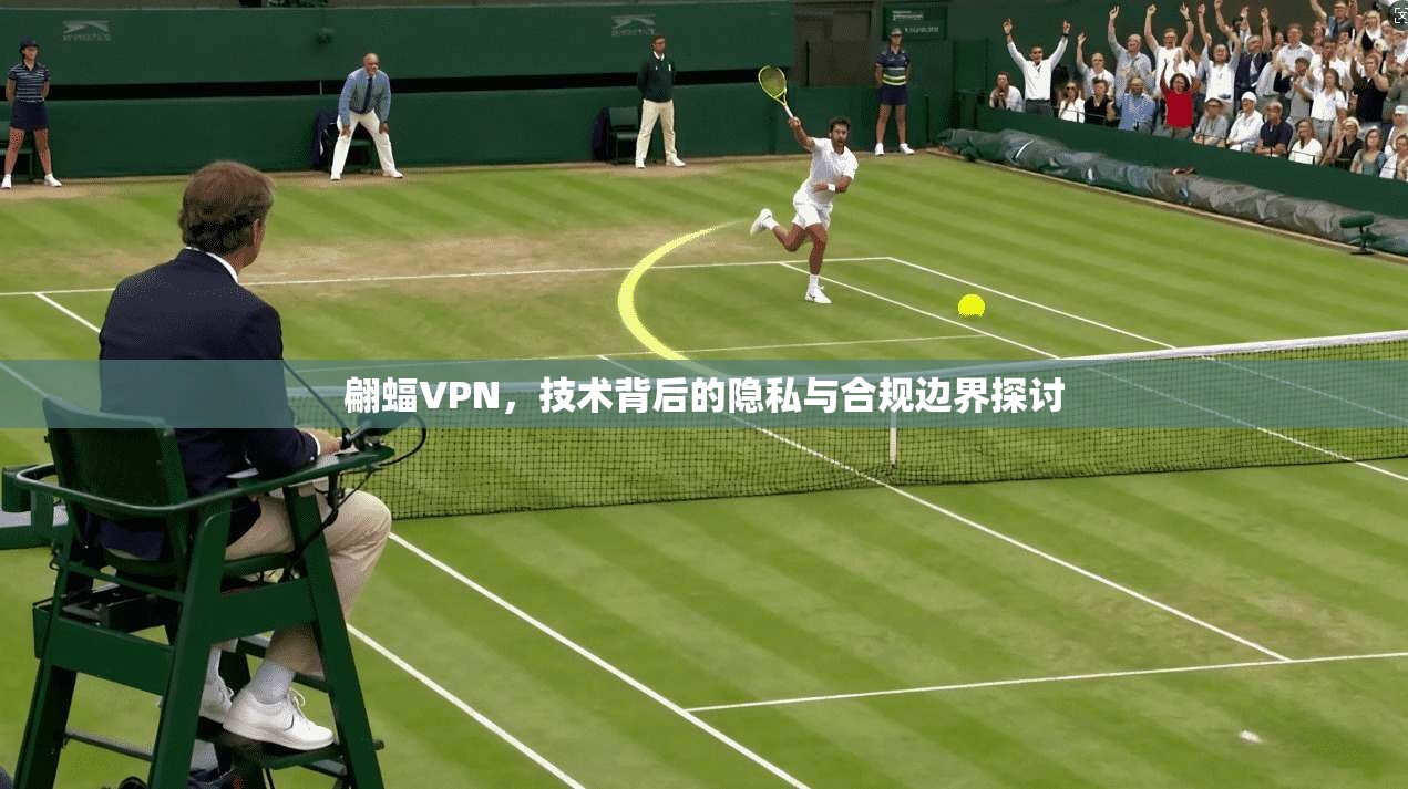 翩蝠VPN，技术背后的隐私与合规边界探讨