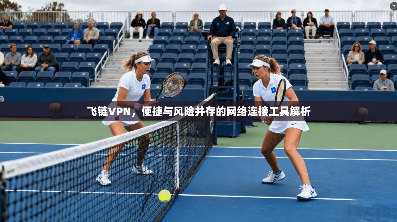 飞链VPN，便捷与风险并存的网络连接工具解析