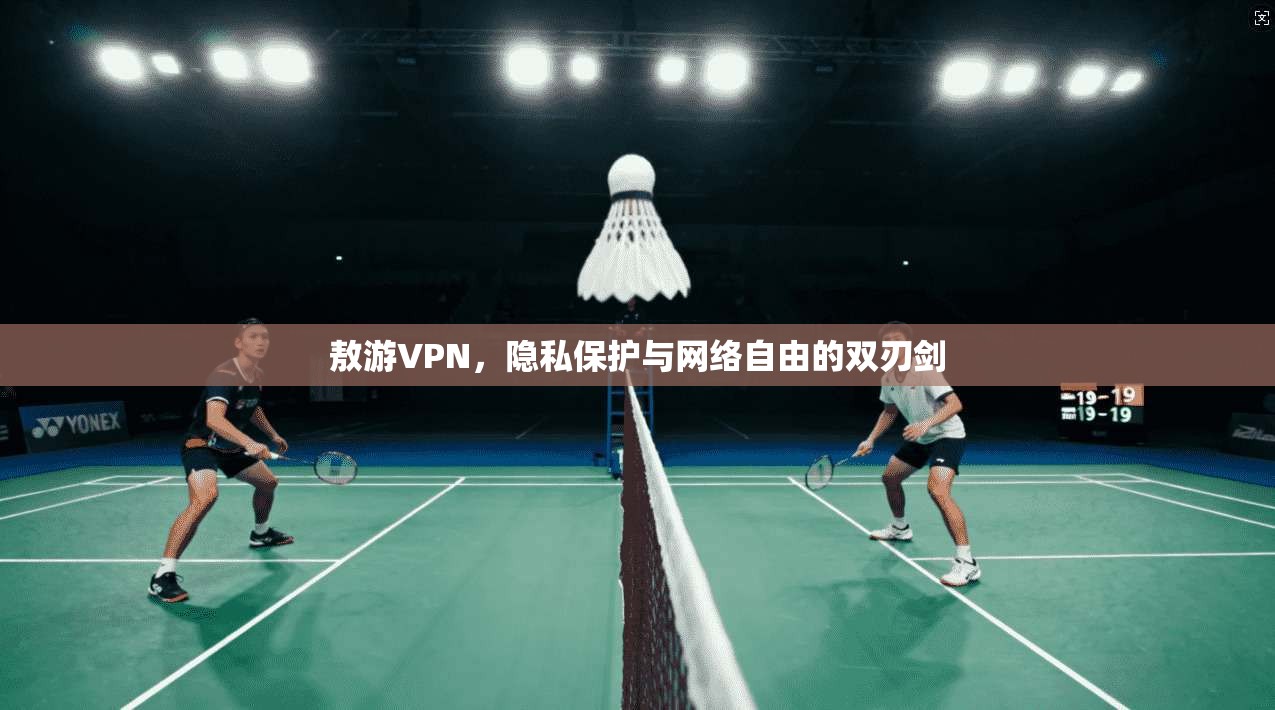 敖游VPN，隐私保护与网络自由的双刃剑