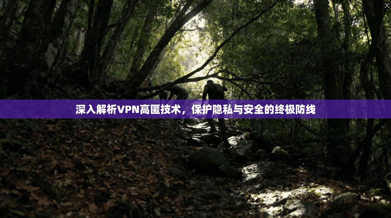 深入解析VPN高匿技术，保护隐私与安全的终极防线