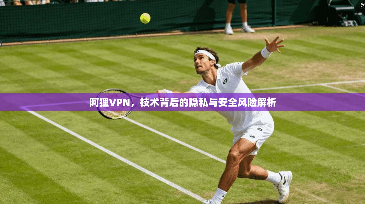 阿狸VPN，技术背后的隐私与安全风险解析