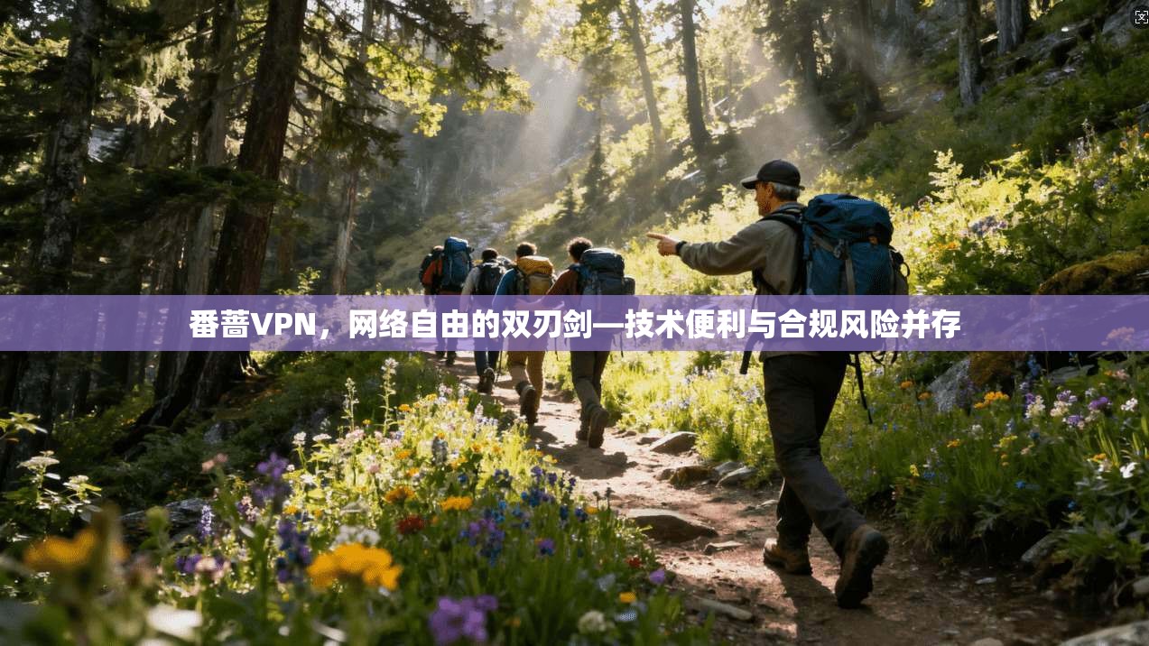 番蔷VPN,网络自由的双刃剑—技术便利与合规风险并存
