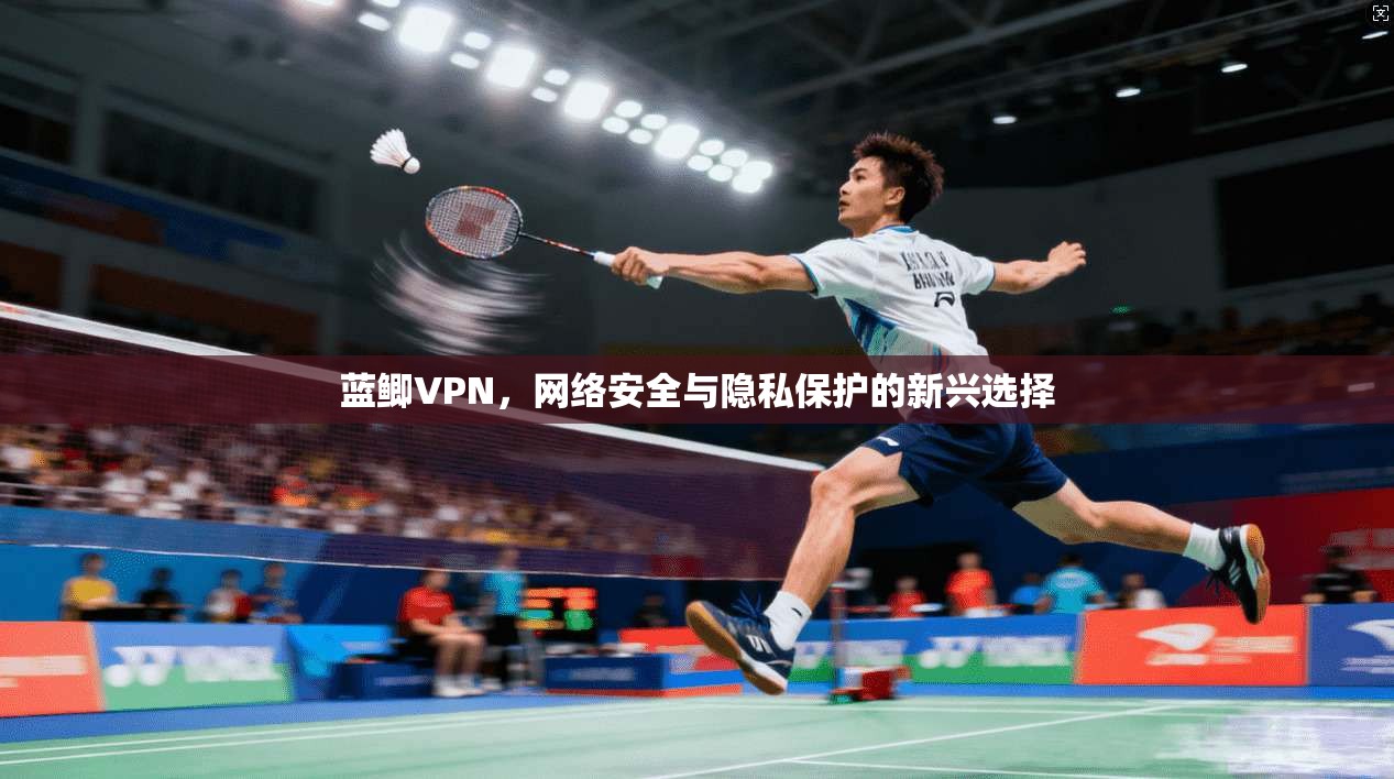 蓝鲫VPN，网络安全与隐私保护的新兴选择