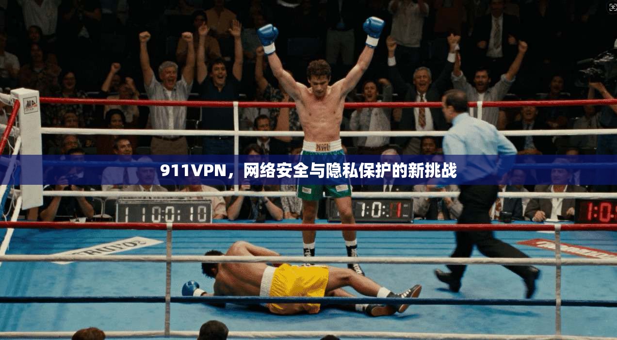 911VPN，网络安全与隐私保护的新挑战