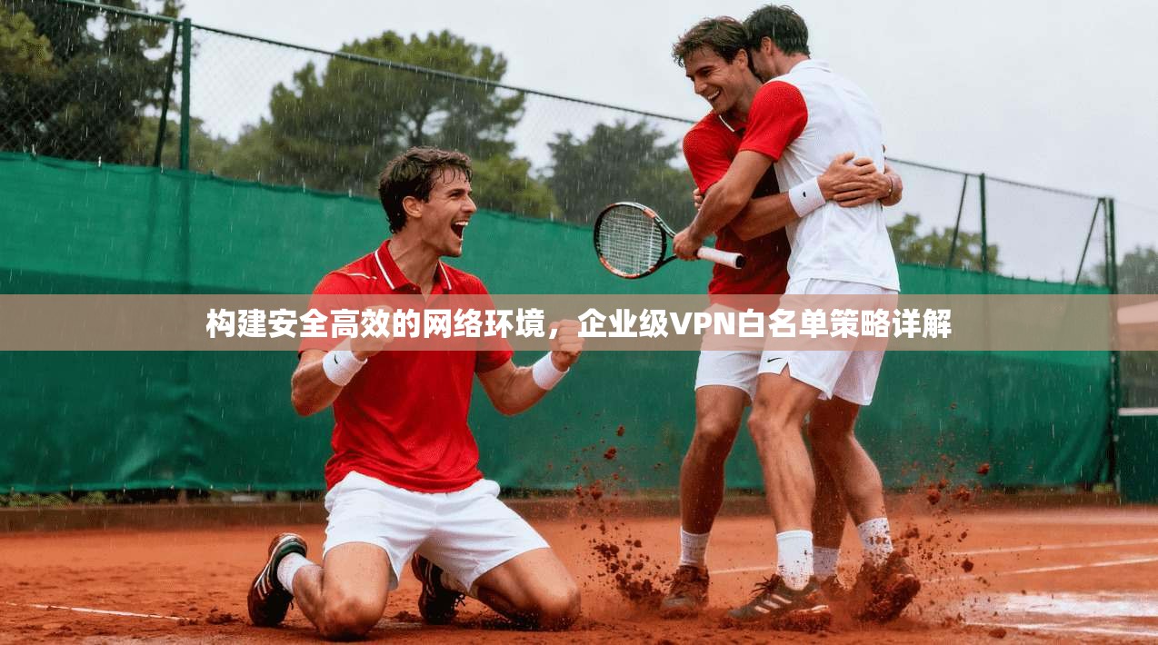 构建安全高效的网络环境，企业级VPN白名单策略详解