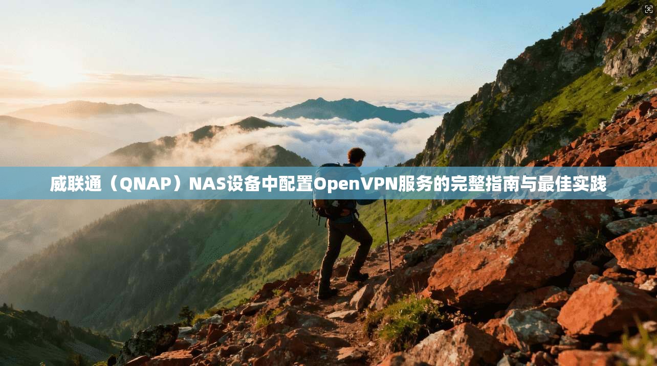 威联通（QNAP）NAS设备中配置OpenVPN服务的完整指南与最佳实践