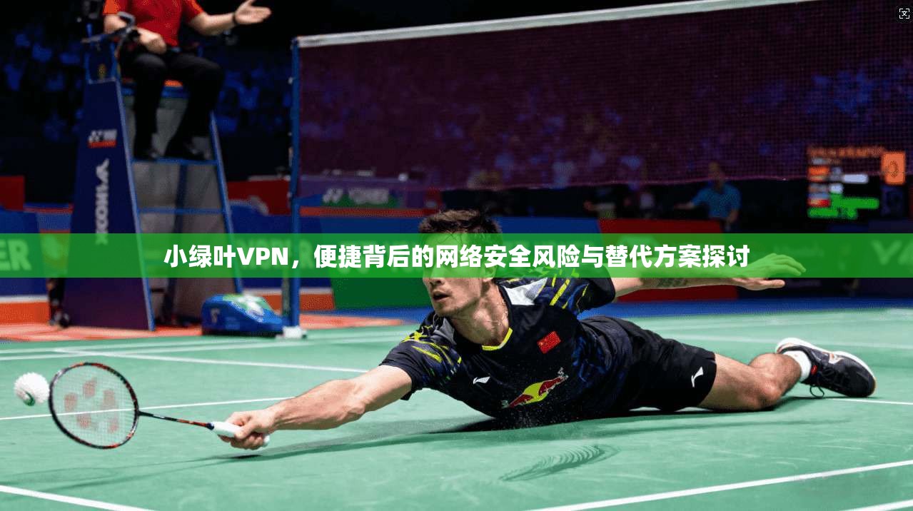 小绿叶VPN，便捷背后的网络安全风险与替代方案探讨
