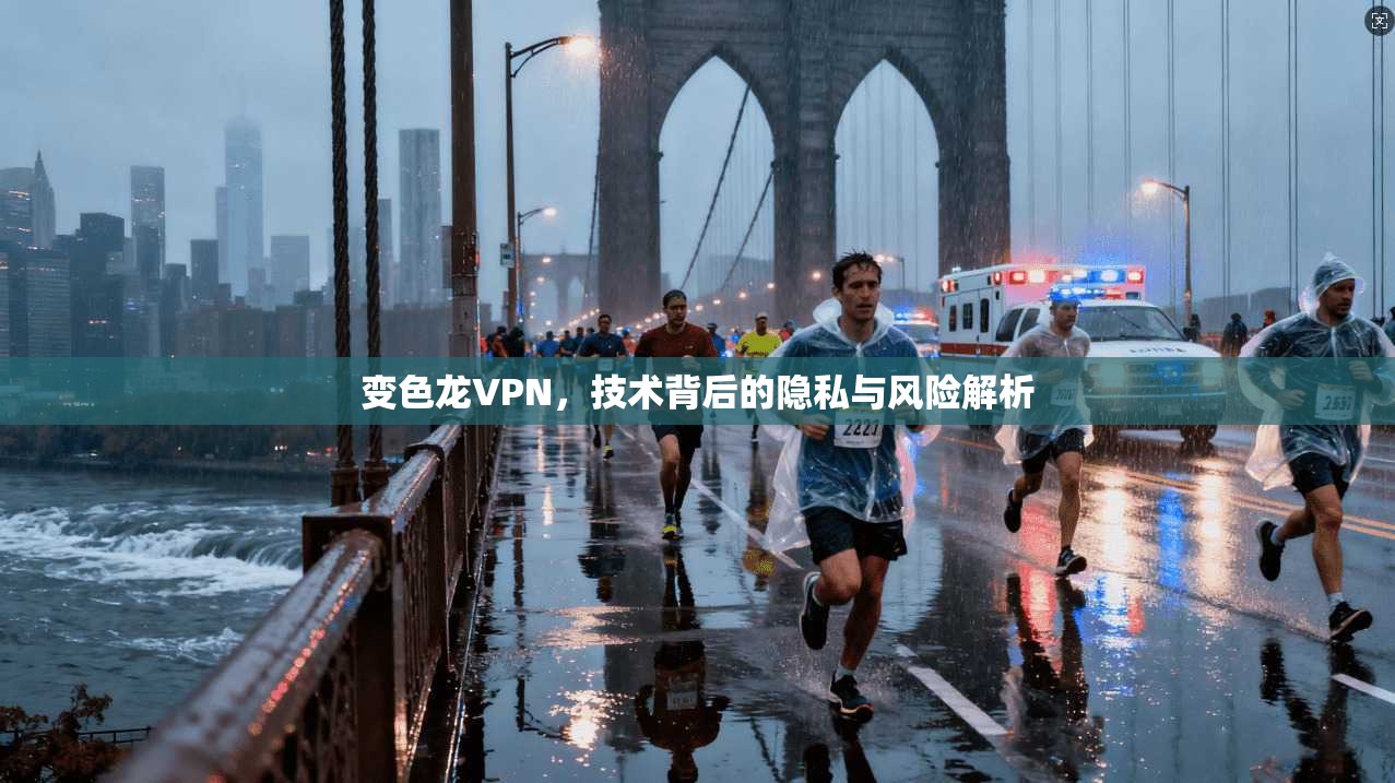 变色龙VPN，技术背后的隐私与风险解析