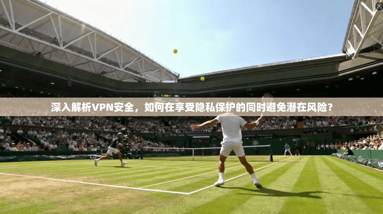 深入解析VPN安全，如何在享受隐私保护的同时避免潜在风险？