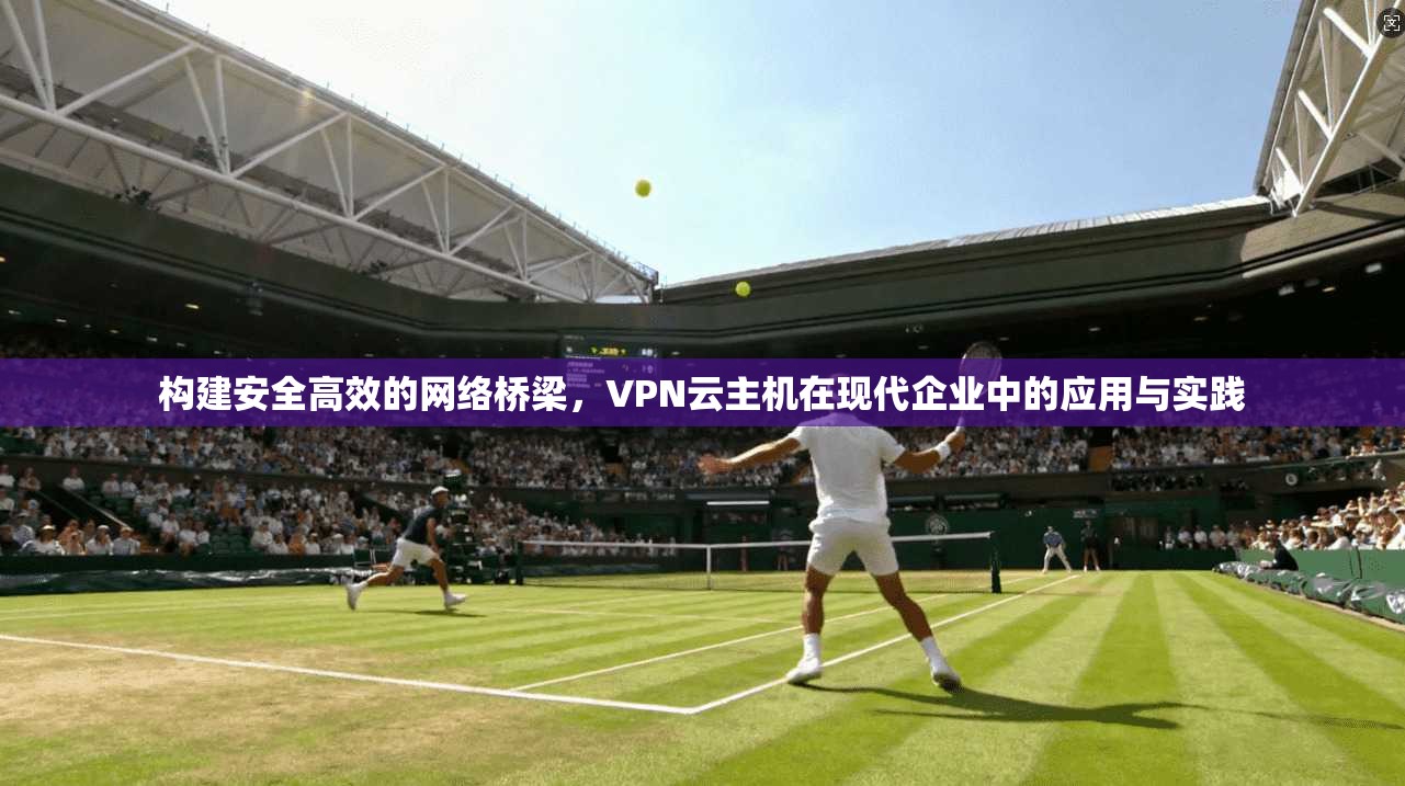 构建安全高效的网络桥梁，VPN云主机在现代企业中的应用与实践