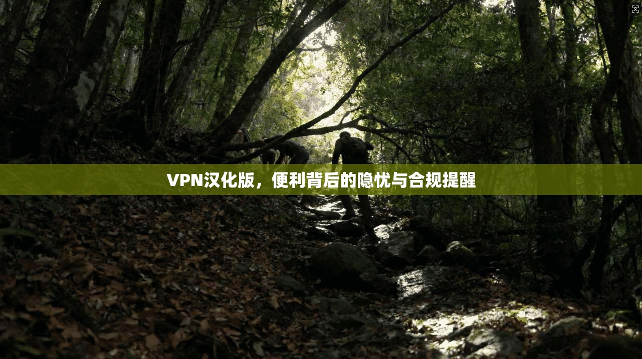 VPN汉化版，便利背后的隐忧与合规提醒
